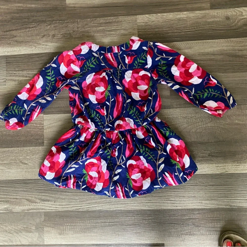 Kids Old Navy Blue and Red Floral Dress size 2 T
